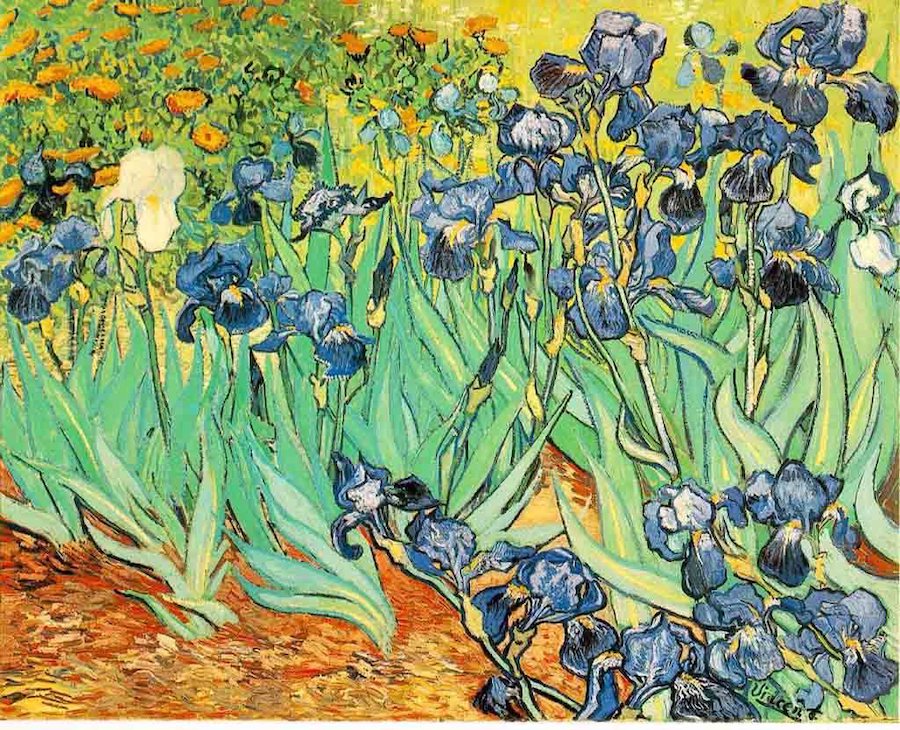 Van Gogh 6
