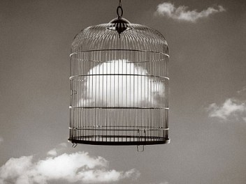 Chema Madoz. A photographer of few words