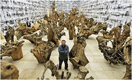 Ai Wei wei -Hechar Raíces
