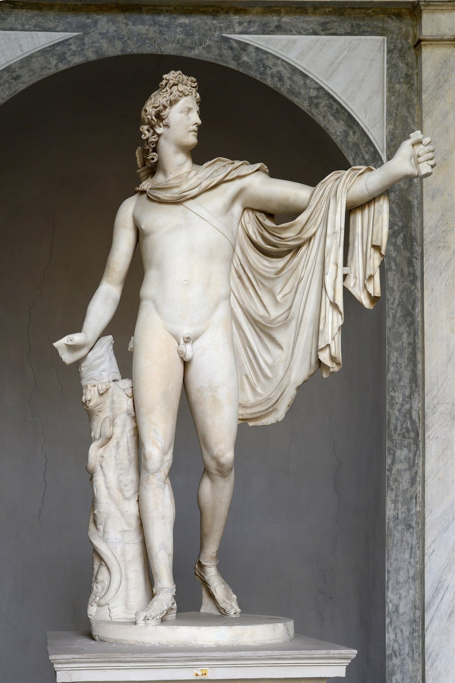 Apolo de Belvedere, Museos Vaticanos