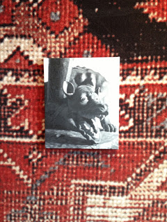 Stingel3