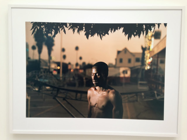la foto 5 (7)