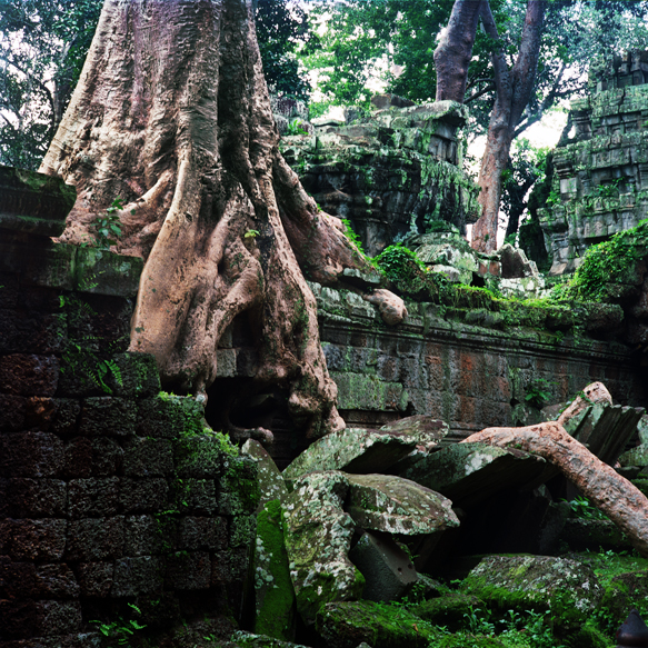 Ta Prohm 1Borja de Madariaga