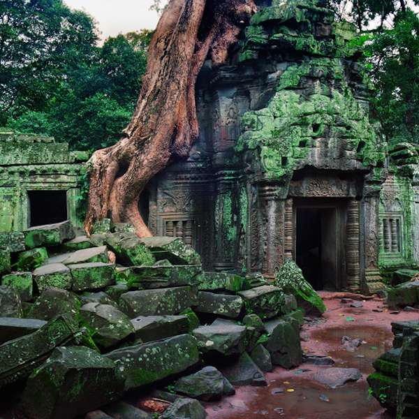 “Angkor: Naturaleza y Misticismo. Borja de Madariaga.