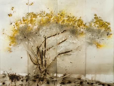2009 TreeWithYellowBlossoms 1946-001-w