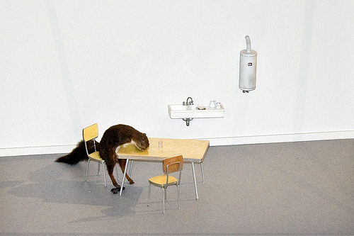 Maurizio Cattelan bibibidoo