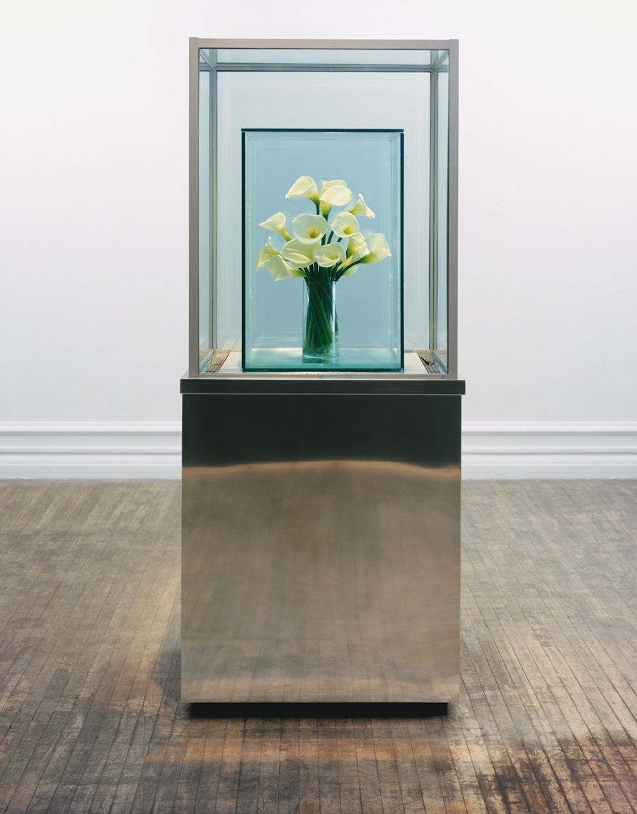 Marc Quinn. Eternal Spring (Lilies) 1998