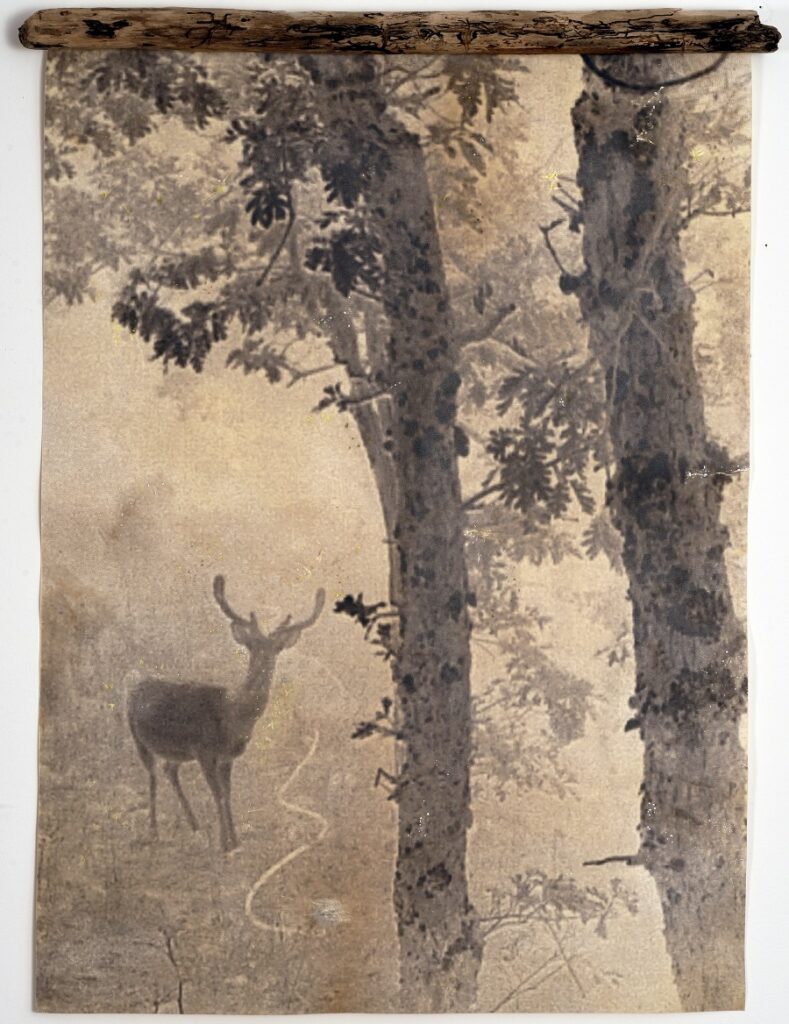 Ánima by Eliana Perinat: The Nature of the Landscape