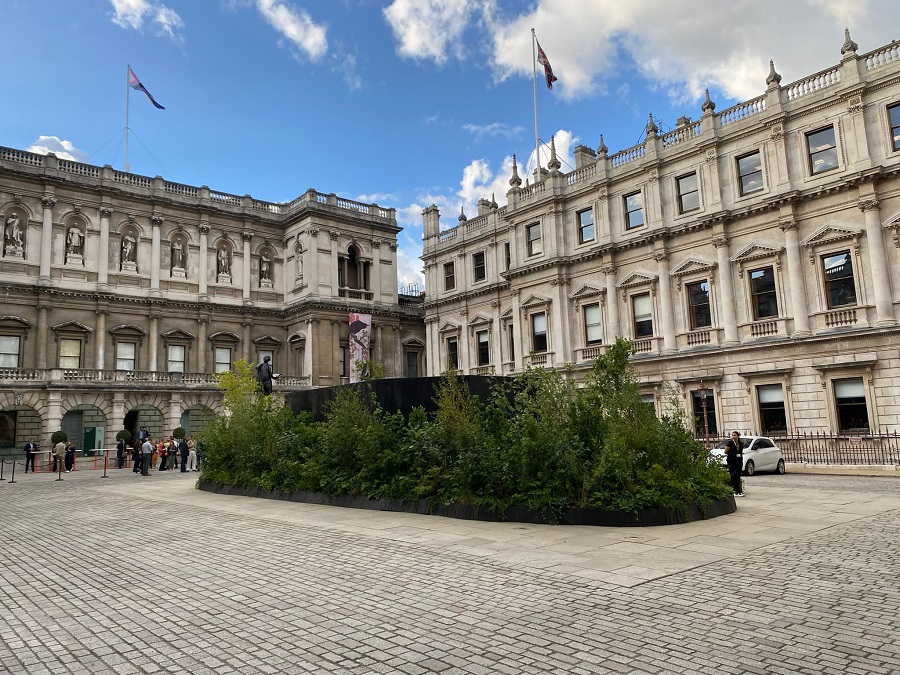 Cristina Iglesias Creates a Site-Specific Work for the Royal Academy of Arts